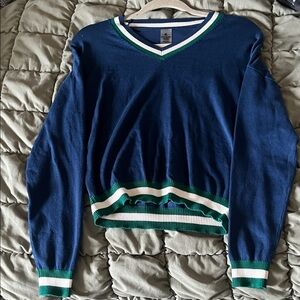 Blue V-Neck Sweater with Green and White Trim